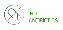 No Added Hormones or Antibiotics icon
